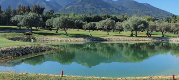 4 bedrooms Villa in Alhaurin de la Torre, Spain No. 180522 37