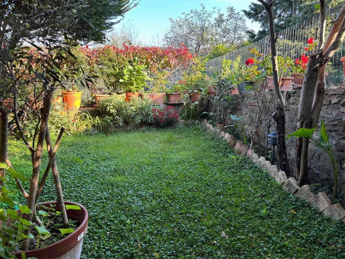 Квартира с 4 комнатами в Мальяно ин Тоскана, Италия № 221703