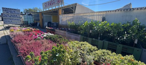 Propiedad comercial en Trieste, Italy 1360 m² No. 356972 12