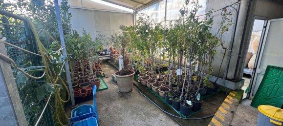 Propiedad comercial en Trieste, Italy 1360 m² No. 356972 11