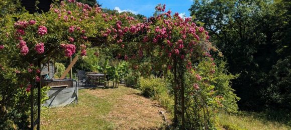 Terrain à Hohenlohe, Germany No. 241133 4