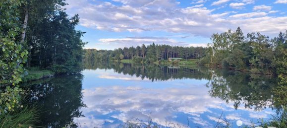 Земельный участок 5091м² в Сен-Бенуа-сюр-Луара, Франция № 245436 2