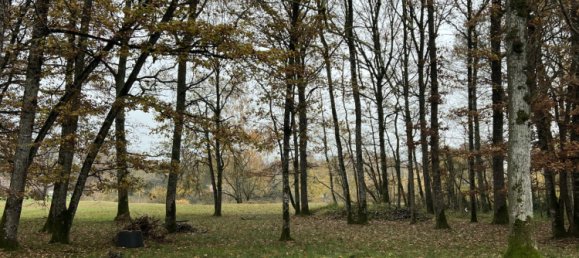 4 chambres Maison à Bazoches-sur-le-Betz, France No. 78864 12