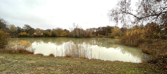 4 chambres Maison à Bazoches-sur-le-Betz, France No. 78864 2