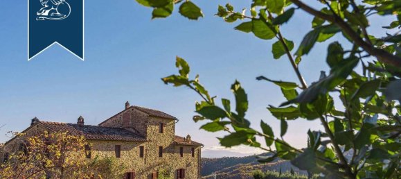 10 bedrooms Villa in Gaiole in Chianti, Italy No. 238829 14