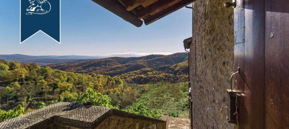 10 bedrooms Villa in Gaiole in Chianti, Italy No. 238829 50