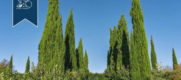 10 bedrooms Villa in Gaiole in Chianti, Italy No. 238829 20