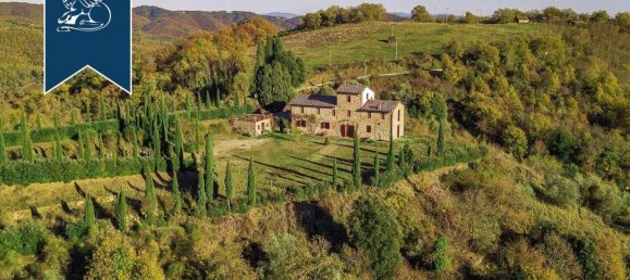10 bedrooms Villa in Gaiole in Chianti, Italy No. 238829 4