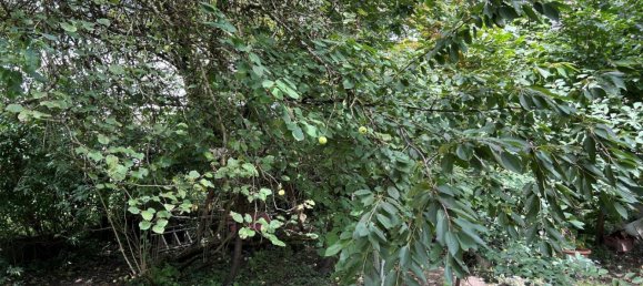 5-Zimmer Haus in Salzburg, Austria, Nr. 206362 3