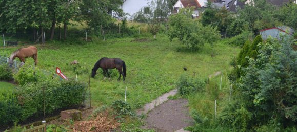 Casa de 7 habitaciónes en Trier-Saarburg, Germany No. 130579 18