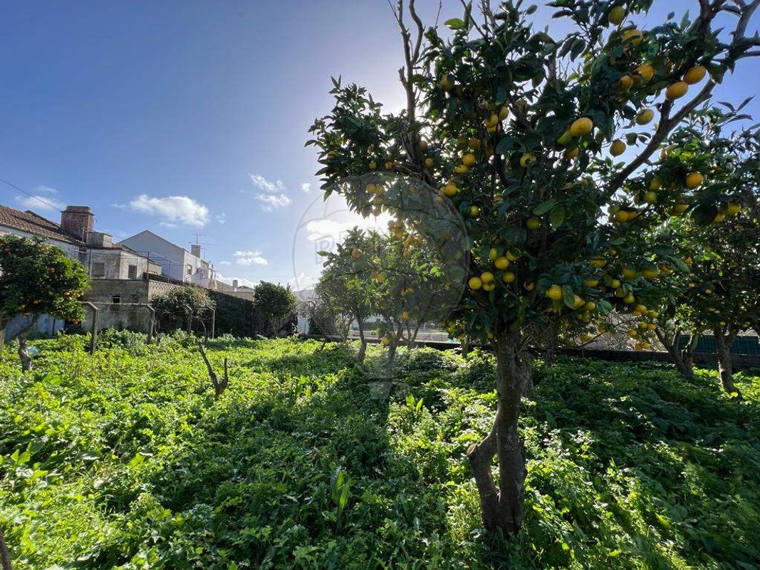 8 غرف نوم منزل في Bucelas, Portugal رقم 47504