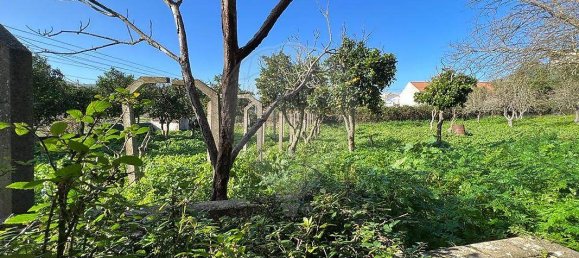 8 غرف نوم منزل في Bucelas, Portugal رقم 47504 3