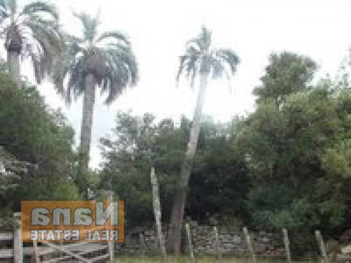 Ferme à Maldonado, Uruguay 24m² No. 14193