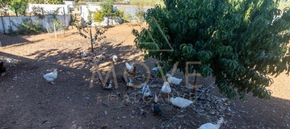 3 bedrooms Land in Lagos, Portugal No. 141312 17