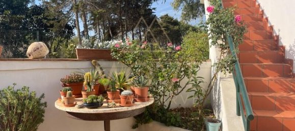 3 bedrooms Land in Lagos, Portugal No. 141312 6