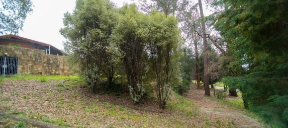 4 Schlafzimmer Haus in Oliveira de Azemeis, Portugal, Nr. 72055 22