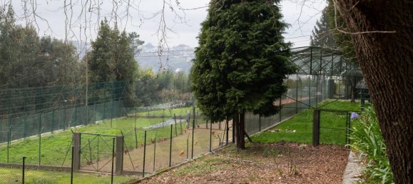 4 Schlafzimmer Haus in Oliveira de Azemeis, Portugal, Nr. 72055 39