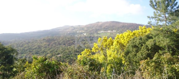 259m² Land in Monchique, Portugal No. 154640 4