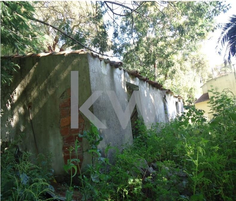 259m² Land in Monchique, Portugal No. 154640