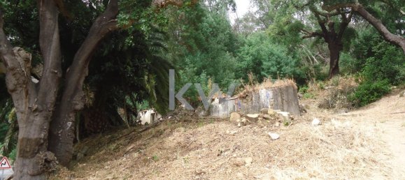 259m² Land in Monchique, Portugal No. 154640 12