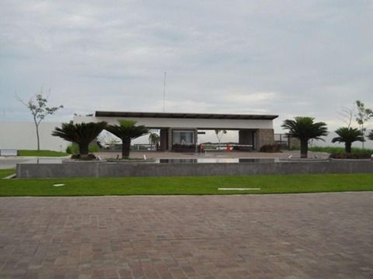  Land in Veracruz, Mexico No. 206615