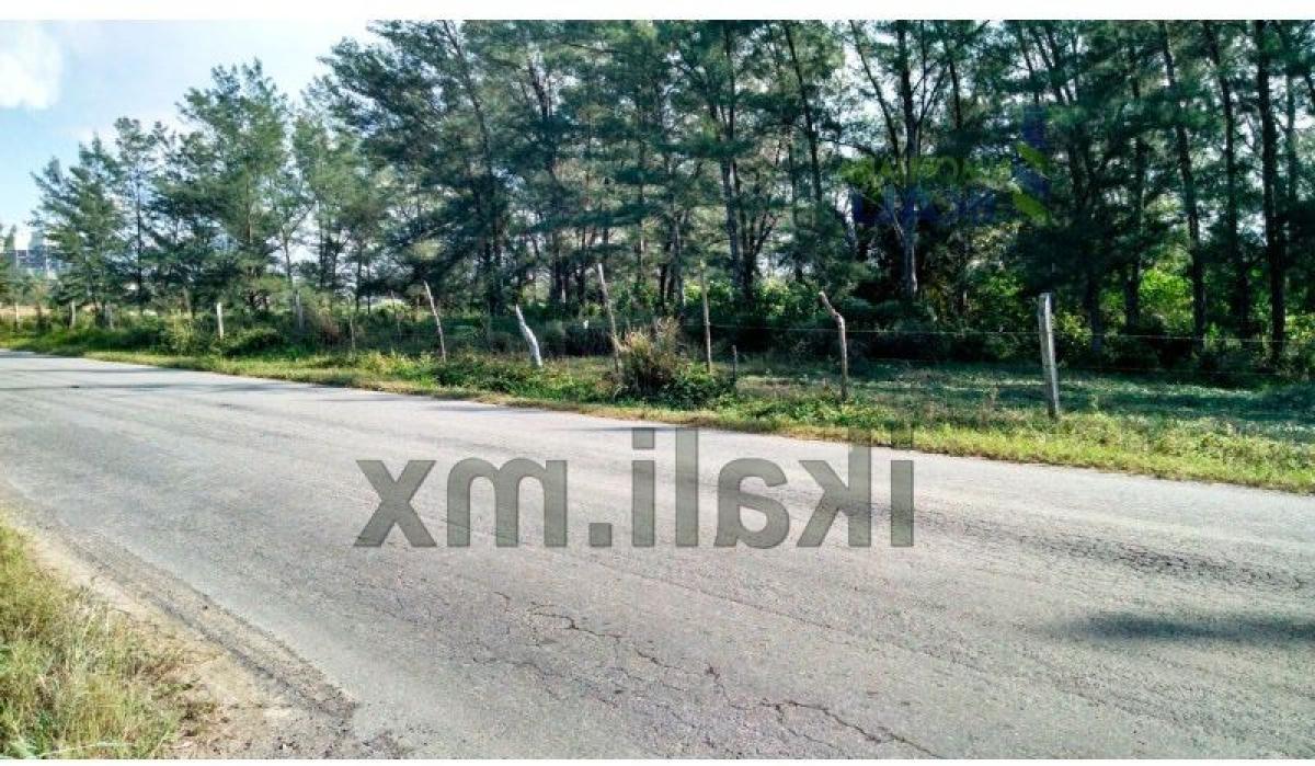 Grundstück in Veracruz, Mexico, Nr. 203029