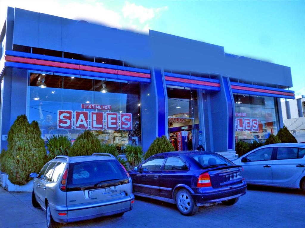 1370m² Property in Chalcis, Greece No. 7342