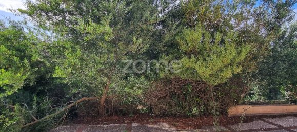 Дом с 8 спальнями в Синтра, Португалия № 45868 45