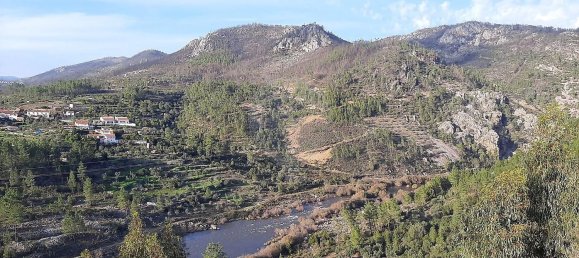4 chambres Maison à Proenca a Nova, Portugal No. 171910 17