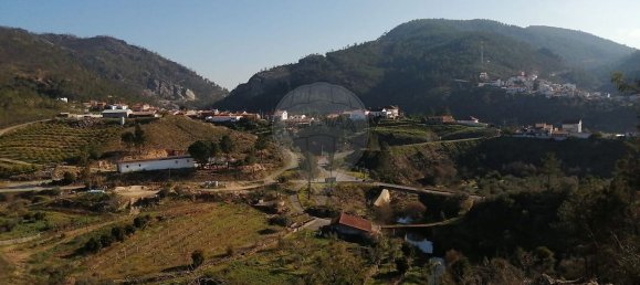 4 chambres Maison à Proenca a Nova, Portugal No. 171910 3
