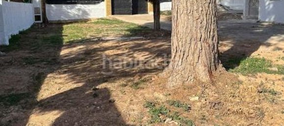 1 chambre Maison à Naquera, Spain No. 91257 19