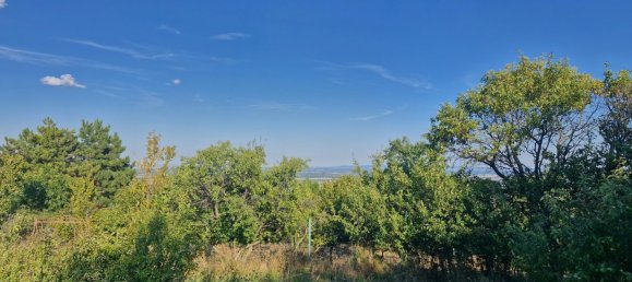 Land in Pfaffstatten, Austria No. 229896 6