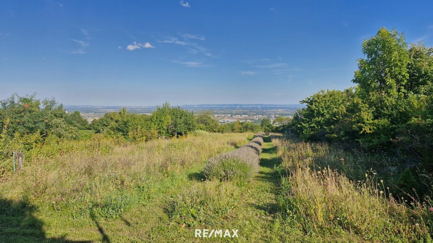  Land in Pfaffstatten, Austria No. 229896