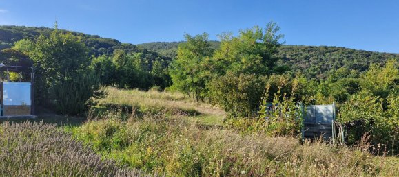 Land in Pfaffstatten, Austria No. 229896 5