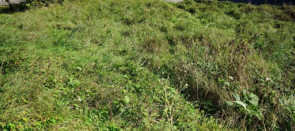 Terrain à Weilheim-Schongau, Germany No. 161606 5