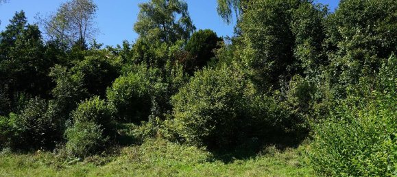 Terrain à Weilheim-Schongau, Germany No. 161606 4