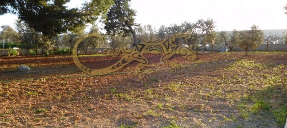 5 غرف نوم قطعة أرض في San Jordi De Ses Salines, Spain رقم 835 11
