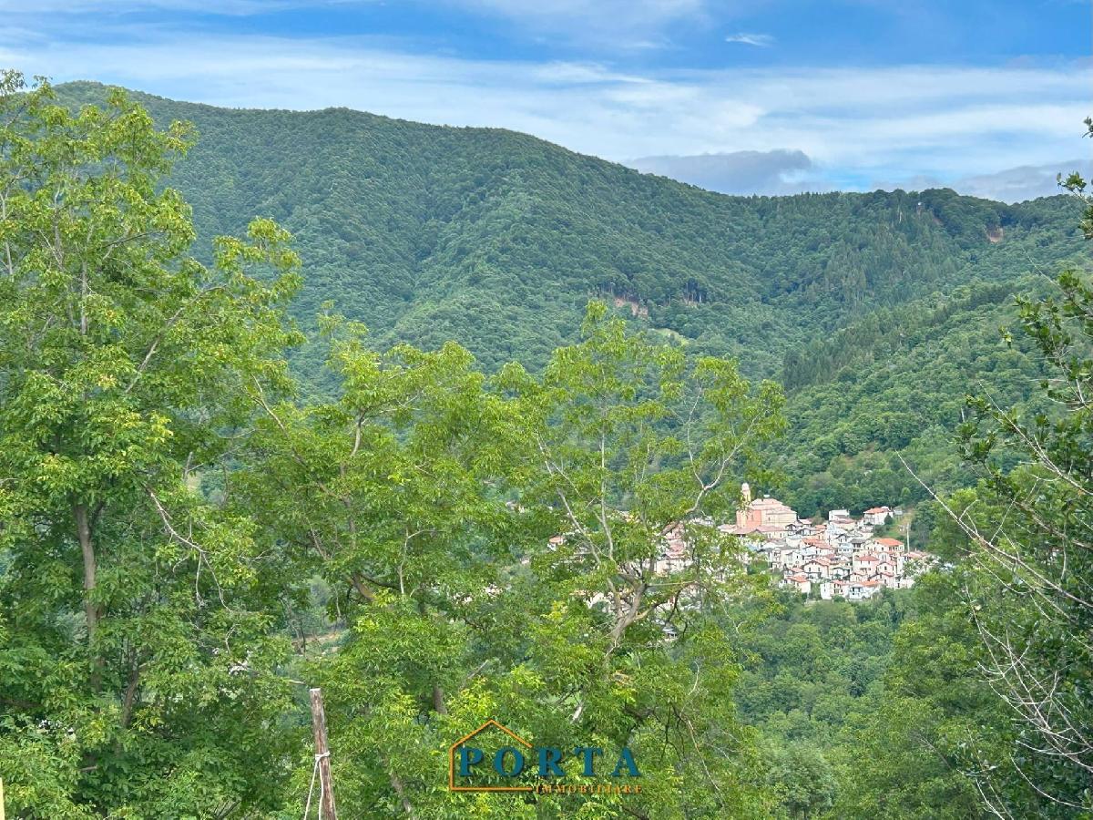 1 bedroom House in Roccaforte Mondovì, Italy No. 260336