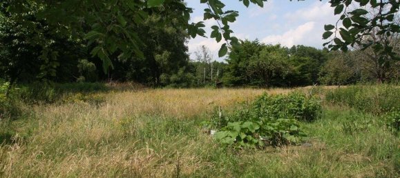 Bungalow T2 em Gifhorn, Germany N.º 151908 21