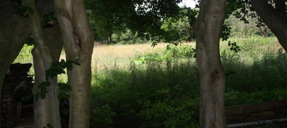 Bungalow T2 em Gifhorn, Germany N.º 151908 3