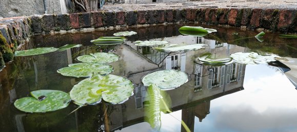 5 غرف نوم منزل في Vitry-aux-Loges, France رقم 71583 2