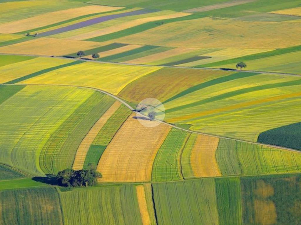 32500m² Land in Saonara, Italy No. 293735