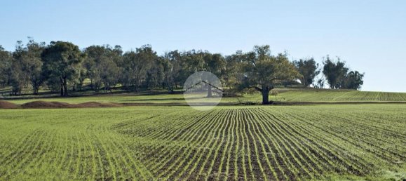 32500m² Land in Saonara, Italy No. 293735 3