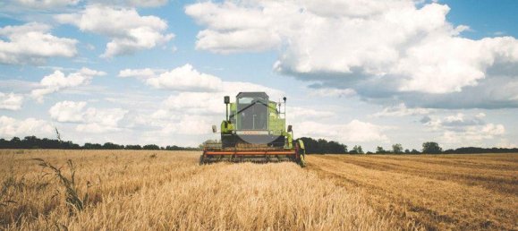 32500m² Land in Saonara, Italy No. 293735 7