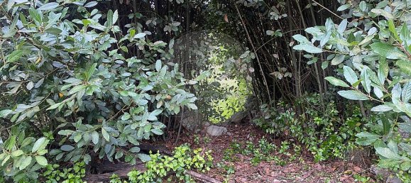 3 غرف نوم منزل في Sintra, Portugal رقم 56513 27