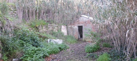 3 غرف نوم منزل في Sintra, Portugal رقم 56513 14