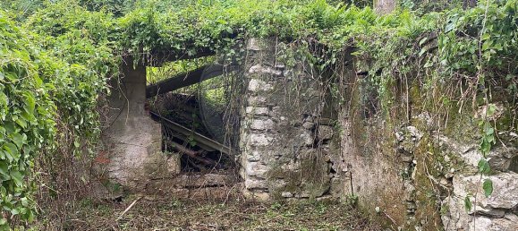 3 غرف نوم منزل في Sintra, Portugal رقم 56513 26