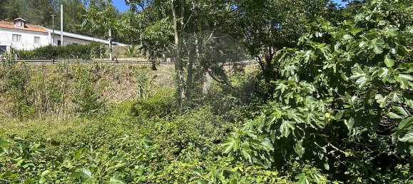 3 غرف نوم منزل في Sintra, Portugal رقم 56513 20