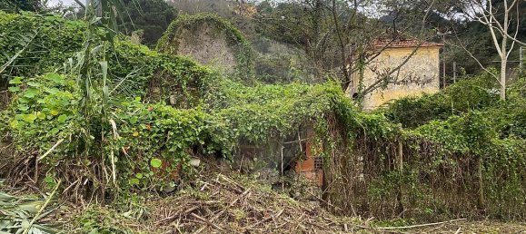 3 غرف نوم منزل في Sintra, Portugal رقم 56513 25