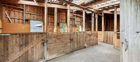 7غرفة قلاع في North Rhine-Westphalia, Germany رقم 207909 5